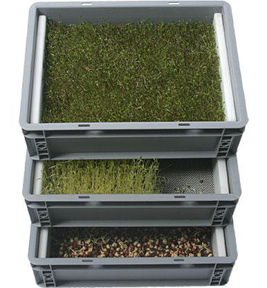 Проращиватели контейнеры для гидропоники семян, микрозелени